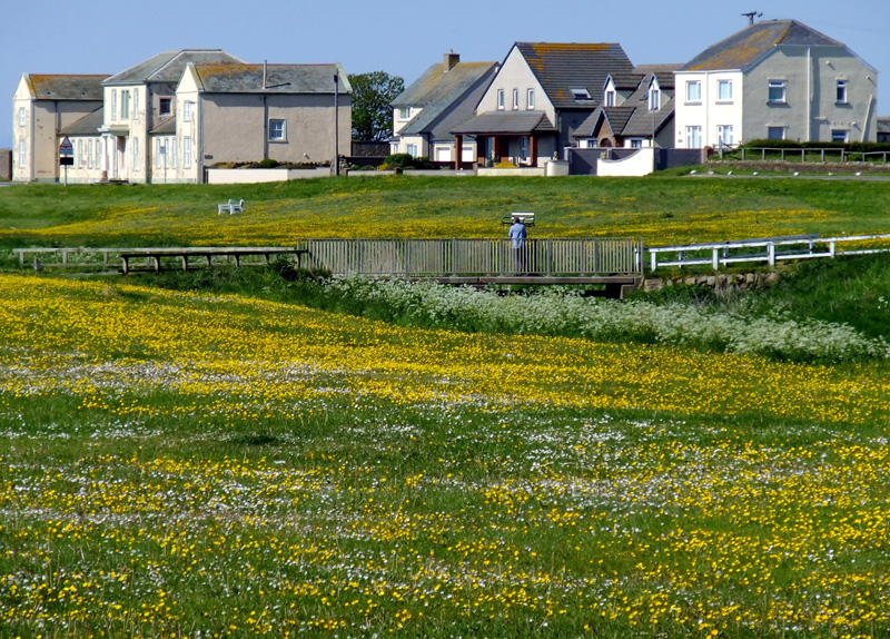 North Lodge, Allonby